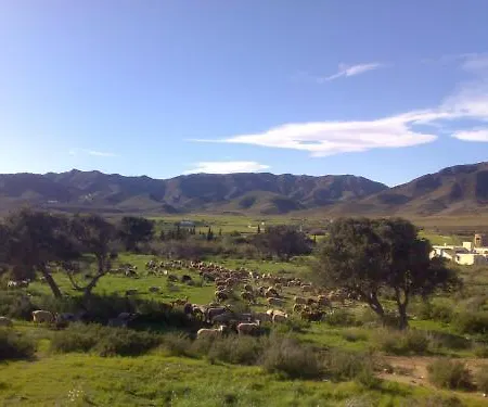 Complejo La Ermita * 로달킬라르